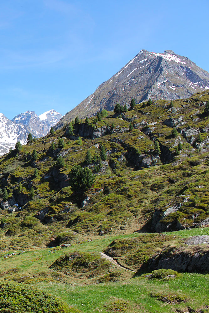 brunet-stephane-biner-accompagnateur-moyenne-montagne-valais-wallis-decouvrir-marche-randonnee-wandern-nature-foret-balade-bisse-rando-outside-outdoor-switzerland-suisse